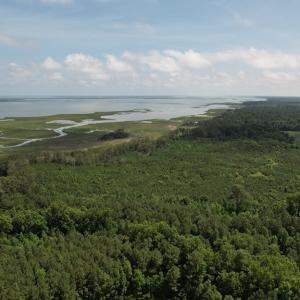 Photo #13 of 20 OYSTER RUN LANE, EASTVILLE, VA 713.0 acres