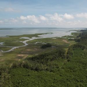 Photo #14 of 20 OYSTER RUN LANE, EASTVILLE, VA 713.0 acres