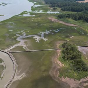 Photo #15 of 20 OYSTER RUN LANE, EASTVILLE, VA 713.0 acres