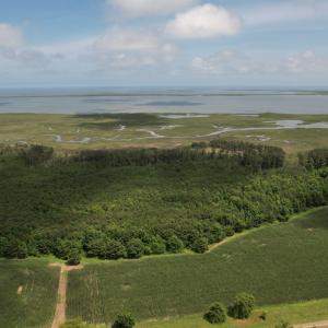 Photo #2 of 20 OYSTER RUN LANE, EASTVILLE, VA 713.0 acres