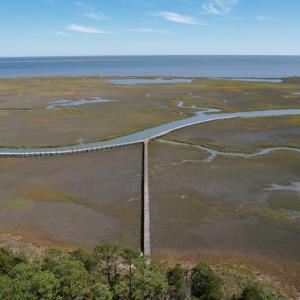 Photo #20 of 20 OYSTER RUN LANE, EASTVILLE, VA 713.0 acres