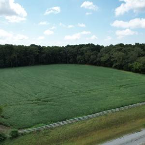 Photo #5 of 20 OYSTER RUN LANE, EASTVILLE, VA 713.0 acres