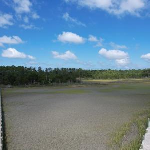 Photo #9 of 20 OYSTER RUN LANE, EASTVILLE, VA 713.0 acres