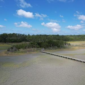 Photo #10 of 20 OYSTER RUN LANE, EASTVILLE, VA 713.0 acres