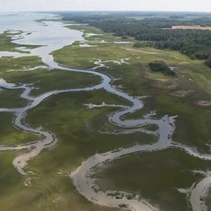 Photo #16 of 20 OYSTER RUN LANE, EASTVILLE, VA 713.0 acres