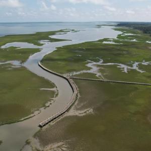 Photo #21 of 20 OYSTER RUN LANE, EASTVILLE, VA 713.0 acres