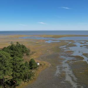 Photo #23 of 20 OYSTER RUN LANE, EASTVILLE, VA 713.0 acres
