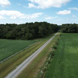 Photo #3 of 20 OYSTER RUN LANE, EASTVILLE, VA 713.0 acres