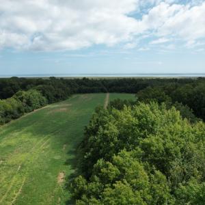 Photo #4 of 20 OYSTER RUN LANE, EASTVILLE, VA 713.0 acres