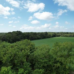 Photo #6 of 20 OYSTER RUN LANE, EASTVILLE, VA 713.0 acres