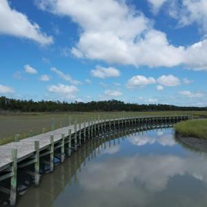 Photo #8 of 20 OYSTER RUN LANE, EASTVILLE, VA 713.0 acres