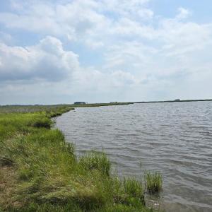 Photo #14 of SAVANNAH RD, TEMPERANCEVILLE, VA 128.2 acres