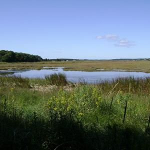 Photo #5 of SAVANNAH RD, TEMPERANCEVILLE, VA 128.2 acres