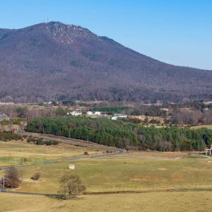 Photo #21 of 6165 OAK SHADE RD, PENN LAIRD, VA 2.6 acres