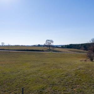 Photo #34 of 6165 OAK SHADE RD, PENN LAIRD, VA 2.6 acres