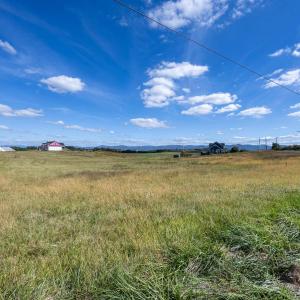 Photo #18 of 6165 OAK SHADE RD, PENN LAIRD, VA 2.6 acres