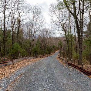 Photo #1 of TOMS PARK LN, FULKS RUN, VA 221.0 acres