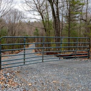 Photo #2 of TOMS PARK LN, FULKS RUN, VA 221.0 acres