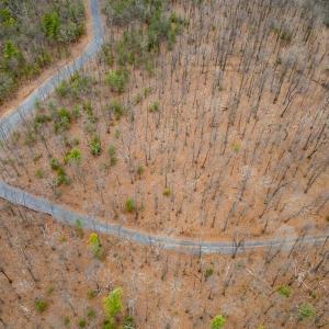 Photo #14 of TOMS PARK LN, FULKS RUN, VA 221.0 acres