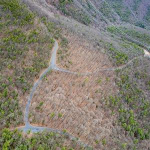 Photo #8 of TOMS PARK LN, FULKS RUN, VA 221.0 acres