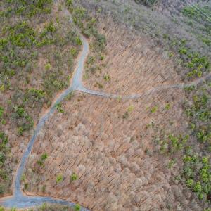 Photo #7 of TOMS PARK LN, FULKS RUN, VA 221.0 acres