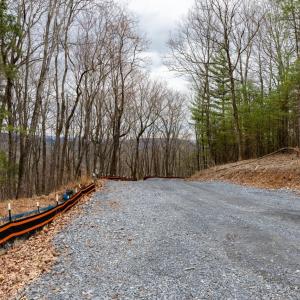 Photo #3 of TOMS PARK LN, FULKS RUN, VA 221.0 acres