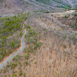 Photo #13 of TOMS PARK LN, FULKS RUN, VA 221.0 acres