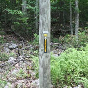 Photo #1 of HIGH VALLEY SOUTH, MONTEREY, VA 5.0 acres