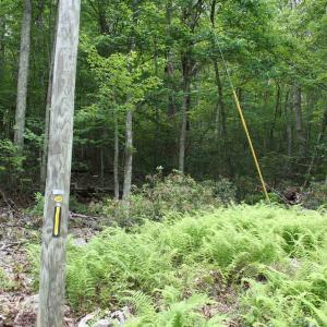 Photo #5 of HIGH VALLEY SOUTH, MONTEREY, VA 5.0 acres