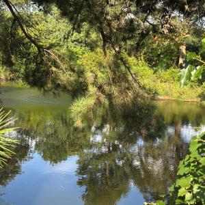 Photo #12 of Lot 3T HUNGARS POINT, MACHIPONGO, VA 4.8 acres