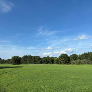Photo #8 of Lot 3T HUNGARS POINT, MACHIPONGO, VA 4.8 acres