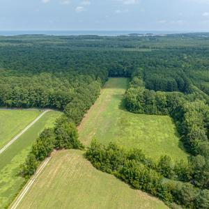 Photo #21 of 29503 BURTON RD, PAINTER, VA 20.1 acres