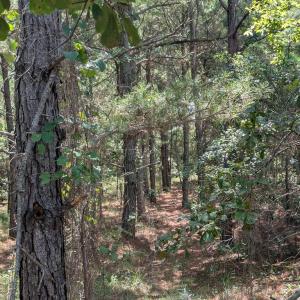 Photo #6 of Lot 10 F BAY DUNES CHASE, CAPE CHARLES, VA 2.6 acres