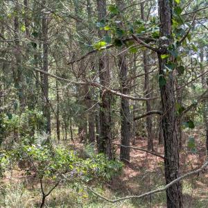 Photo #7 of Lot 10 F BAY DUNES CHASE, CAPE CHARLES, VA 2.6 acres