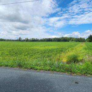 Photo #2 of . BULLBEGGAR RD, WITHAMS, VA