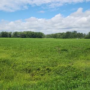 Photo #4 of . BULLBEGGAR RD, WITHAMS, VA