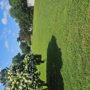 Photo #2 of Lot 18 STURGIS ST, ONANCOCK, VA 0.2 acres