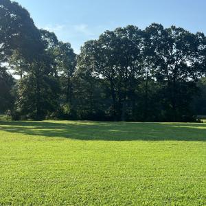 Photo #2 of Lot 75 OLDE MILL LANE, NEW CHURCH, VA 2.1 acres