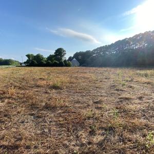 Looking across the parcel