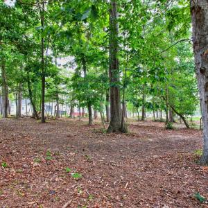 Photo #5 of 112 WILLIAM SCOTT LN, CAPE CHARLES, VA 0.2 acres