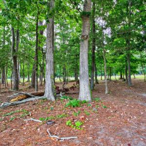 Photo #6 of 112 WILLIAM SCOTT LN, CAPE CHARLES, VA 0.2 acres