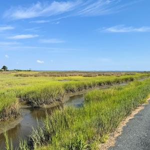 Photo #4 of Lot 118 MATTHEWS RD, SAXIS, VA 0.6 acres