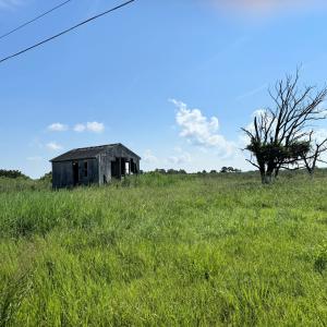 Photo #8 of Lot 118 MATTHEWS RD, SAXIS, VA 0.6 acres