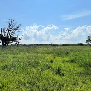 Photo #2 of Lot 117 MATTHEWS RD, SAXIS, VA 0.6 acres
