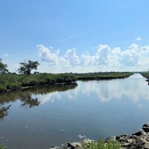 Photo #5 of Lot 117 MATTHEWS RD, SAXIS, VA 0.6 acres