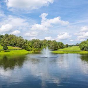 Photo #6 of 510 MOUNT PLEASANT FARM ROAD, SCOTTSVILLE, VA 2,784.0 acres