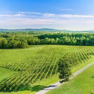 Photo #21 of 510 MOUNT PLEASANT FARM ROAD, SCOTTSVILLE, VA 2,784.0 acres