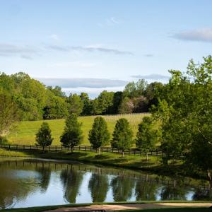 Photo #8 of 510 MOUNT PLEASANT FARM ROAD, SCOTTSVILLE, VA 2,784.0 acres