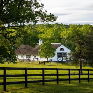 Photo #4 of 510 MOUNT PLEASANT FARM ROAD, SCOTTSVILLE, VA 2,784.0 acres
