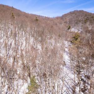 Photo #32 of SOLD property in 1301 BALKAMORE HILL RD, STANLEY, VA 305.0 acres